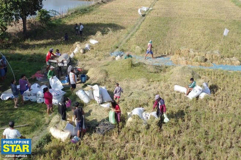 Study legality of food security emergency ­– group