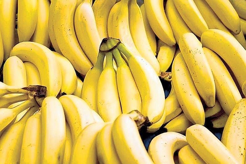 ‘Vietnam overtaking Philippines as China’s top banana supplier long expected’