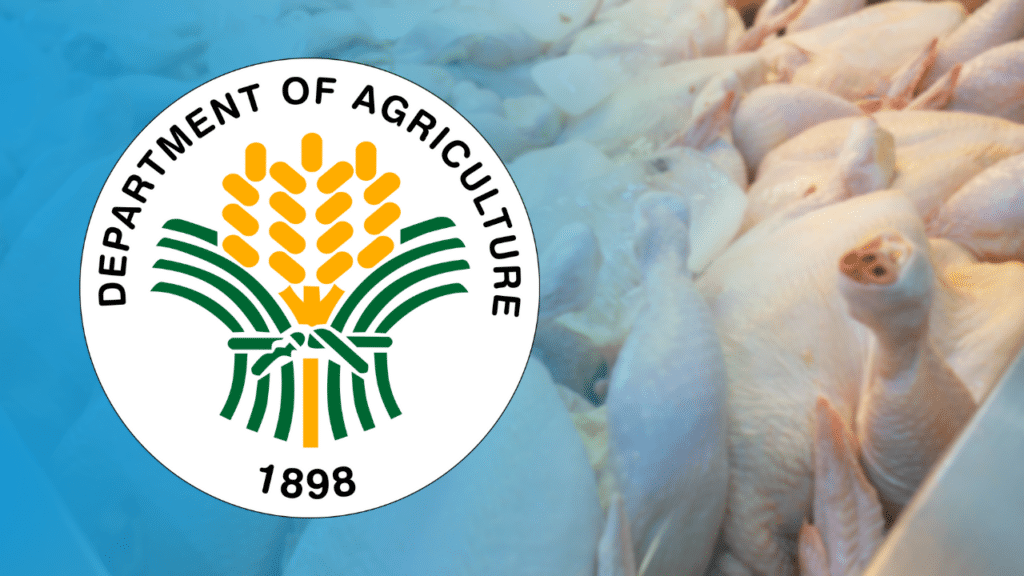 DA bans poultry importation from 3 US states due to bird flu