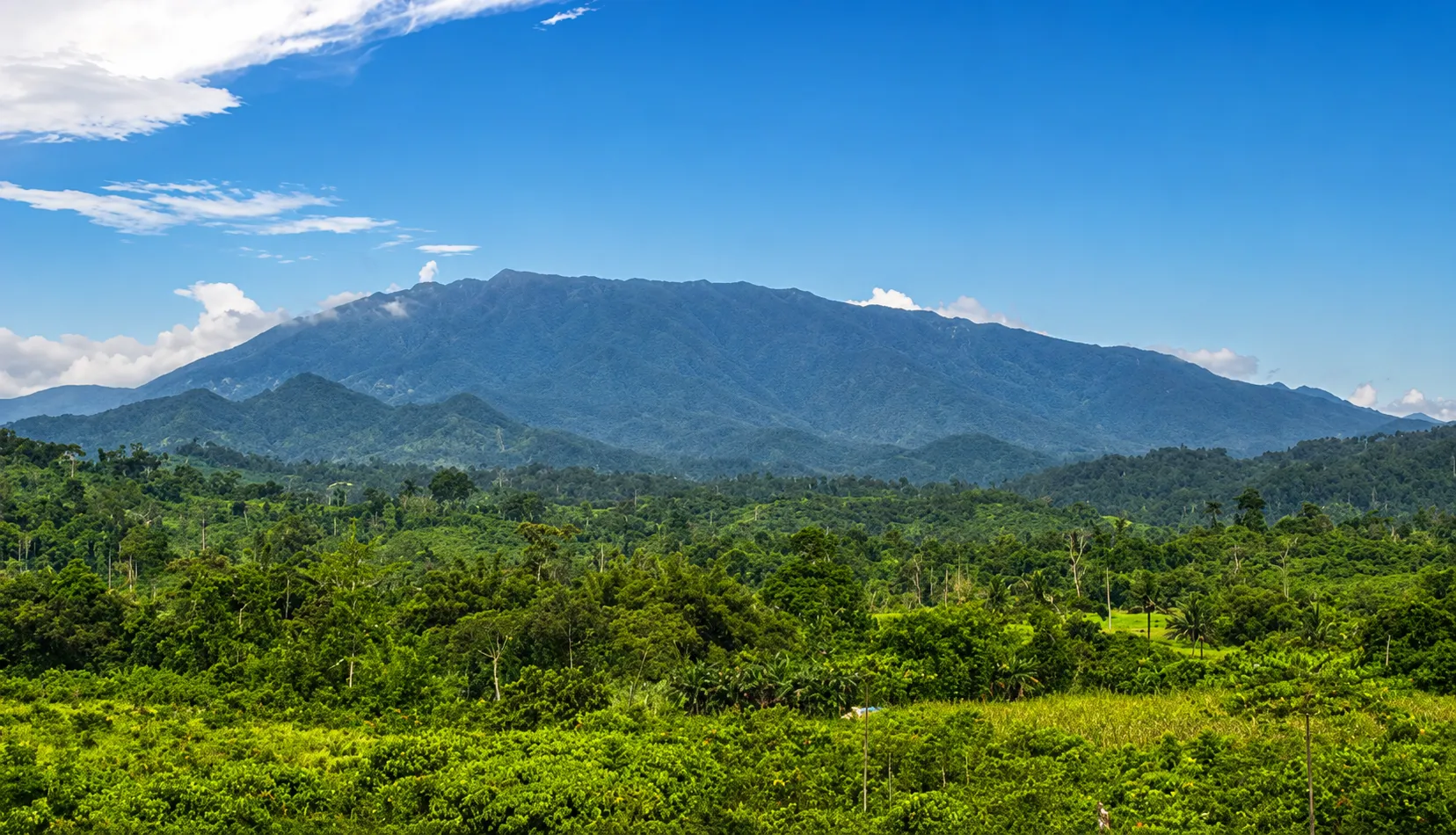 Palawan council approves 50-year mining permit freeze; awaiting governor’s signature