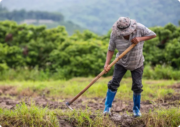 Agriculture