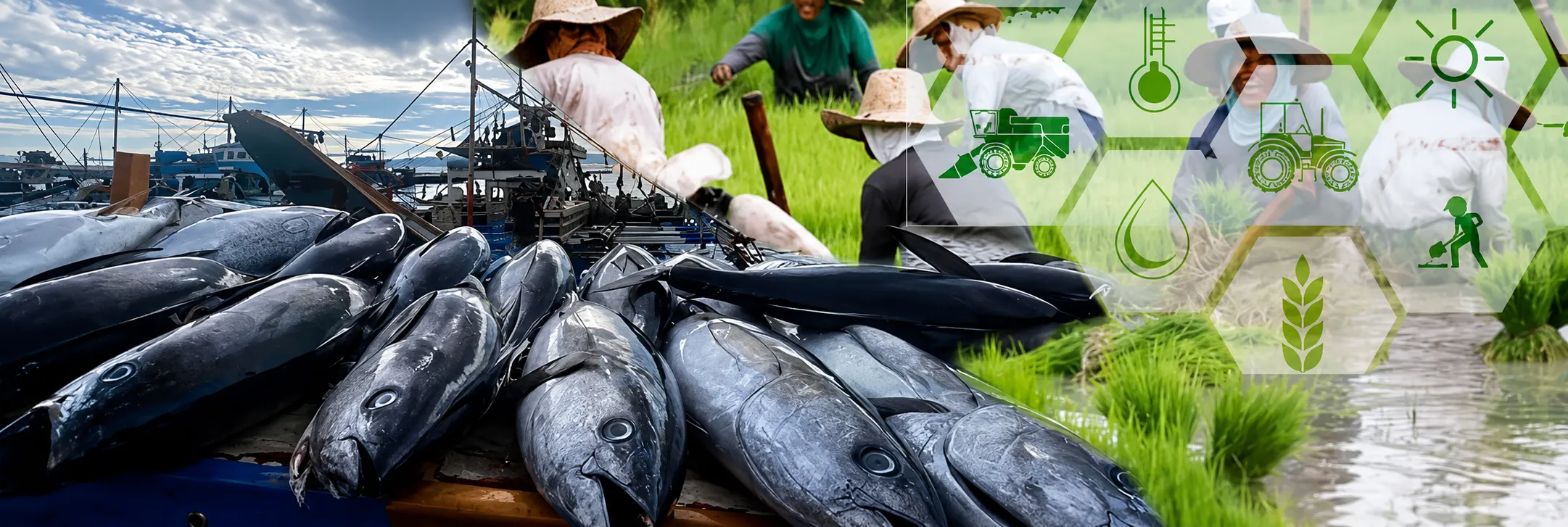 Agriculture and Fishery
