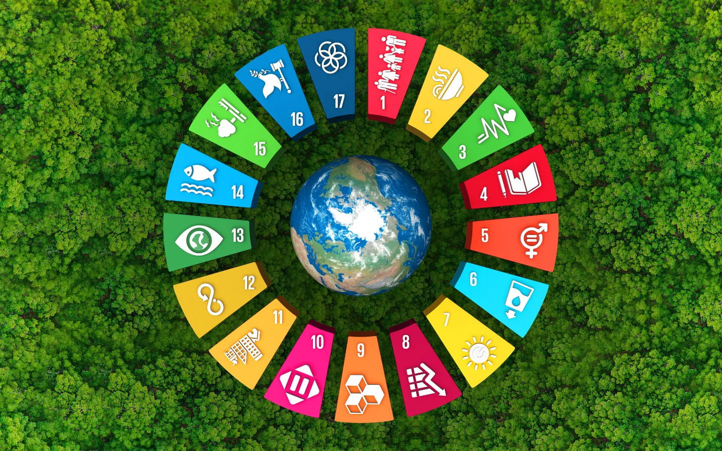 Sustainable Development Goals
